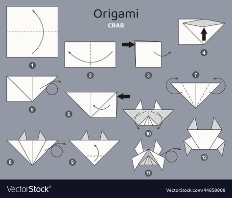 Crab Origami, Origami For Kids, How To Make Origami, Crab, High Res, Png Images, Adobe Illustrator, Origami, Step By Step