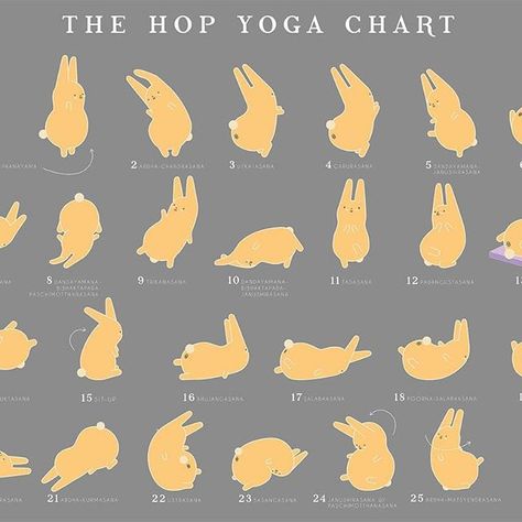 The Hop Yoga Chart. All 26 hot yoga poses demonstrated by Ogi the Bunny. Now available as a print, tank or tee on @society6 at www.society6.com/elenamatheu  #thehopyogachart #hopyoga #yogachart #hotyoga #hotyogachart #yogi #yogibunny #bunnyogi #ogithebunny #ogi #bunny #rabbit #cute #drawing #illustration #society6 #kawaii #infographic #yogaposes #elenamatheu #graphic #design Rabbit Cute Drawing, Yoga Chart, Hot Yoga Poses, Cute Drawing, The Bunny, Hot Yoga, Print Tank, Bunny Rabbit, Yoga Poses