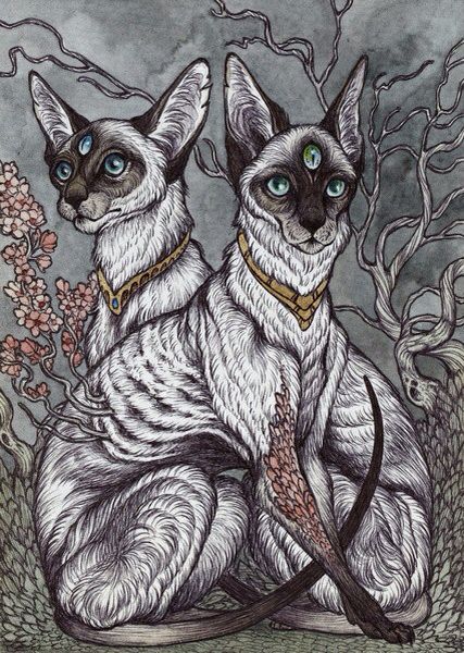 Cats familiars. Familiars are believed to have a "third eye" meaning they can see the spiritual and supernatural. Caitlin Hackett, Eldritch Horrors, Arte Indie, Cthulhu Mythos, Scp Foundation, Two Cats, Desenho Tattoo, Small Cat, Trippy Art