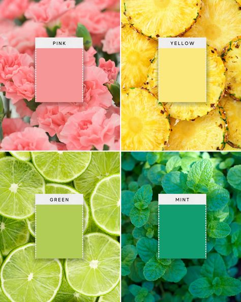 #color #palette #canva #templates #photo #collage #yellow #pink #green #mint #2024 #trendy #pro #canva #natures Cucumber Color Palette, Pink Orange Yellow Blue Green Color Palette, Green Yellow Pink Color Palette, Green Pink Yellow Color Palette, Pink Green Yellow Color Palette, Yellow And Green Color Palette, Mint Green Color Palette, Color Palette Instagram, Color Palette Canva