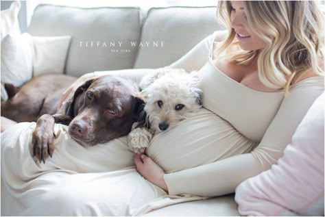 Maternity photoshoot pose ideas in home | Casual maternity photoshoot outfit ideas | Romantic maternity dresses | What to wear for a maternity photoshoot | Maternity photos on couch | Maternity photos with dogs | Maternity photos with pets Home Maternity Photography, Diy Maternity Photos, Indoor Maternity Photography, Maternity Photography Poses Couple, Maternity Work Clothes, Maternity Photo Outfits, Maternity Photoshoot Outfits, Maternity Photoshoot Poses, Photoshoot Pose