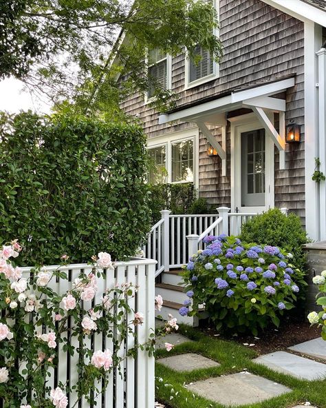 Nantucket Gardens, Landscape Roses, New Dawn Climbing Rose, Fence Flowers, Maine Garden, Cottage Architecture, Beautiful Nature Landscape, Colonial Garden, Nantucket Cottage