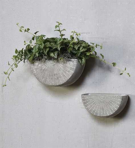 Our Etched Cement Wall Planters the perfect place for drapey greens to hang. These half-circle wall planter are surprisingly lightweight and expectedly durable. Transform greenery into works of art in the bedroom, living room or beyond. V5305,Etched Cement Wall Planter Large,wall planters,cement wall planters,planters,large planters,large wall planters, Vertical Plant Wall, Ceramic Wall Planters, Wall Mounted Planters, Cement Walls, Wall Planters, Cement Wall, Cerámica Ideas, Cement Planters, Concrete Pots