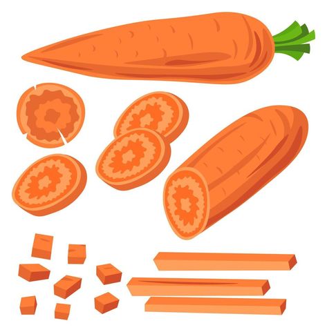 Carrots cut into pieces and sliced vegetables Sunflower Drawing Easy, Carrot Drawing, Sliced Vegetables, Apple Drawing, Drawing Easy Step By Step, Vegetable Drawing, Vegetable Cartoon, Arte Aesthetic, Vegetable Illustration