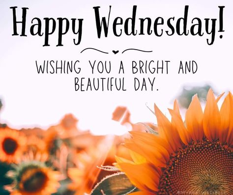 Wednesday Fall, Wednesday Morning Greetings, Weekly Quotes, Wednesday Greetings, Wednesday Wishes, Memory Quotes, Morning Wednesday, Wednesday Humor, In Loving Memory Quotes