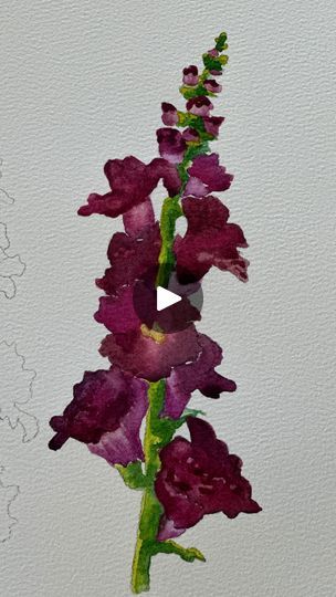 Flowers Snapdragon, Bittersweet Symphony, Paintings Tutorials, Watercolor Flowers Tutorial, Learn Watercolor, Watercolor Tips, Art Watercolour, Abstract Floral Art, Duluth Mn