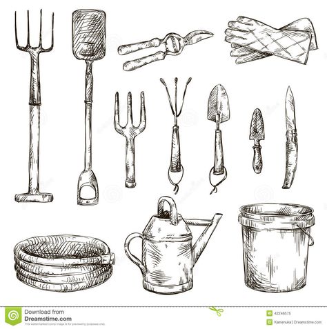 Photo about Set of gardening tools drawings, vector illustration EPS 10. Illustration of garden, gloves, agriculture - 42246575 Garden Tool Organization, Garden Illustration, Garden Drawing, Farm Tools, Garden Tool Storage, Thriving Garden, Vector Art Illustration, Cool Ideas, Gardening Tools