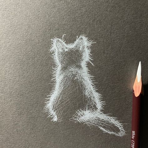 Black And White Cat Drawing Simple, White Charcoal Drawing On Black Paper Easy, Draw Cats, Drawing Hands, Black Paper Drawing, Drawing Eyes, Drawing Faces, White Pencil, White Charcoal