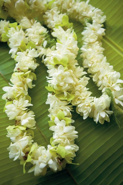 Pikake Lei's one of the sweetest smells on earth, Pikake Flower, Pikake Lei, Flower Lei, Hawaiian Lei, Jasmine Flower, Hawaiian Flowers, Flower Garlands, Lei, Hawaii Wedding