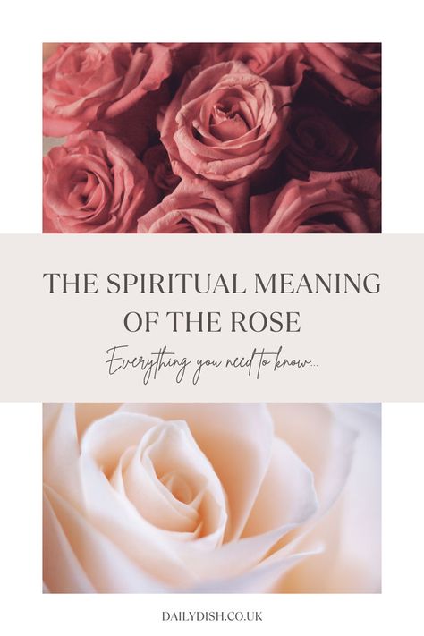 The Spiritual Meaning Of The Rose Rose Meaning, Divine Love, Sacred Feminine, Spiritual Meaning, The Rose, Ritual, Lush, Meant To Be, Meditation