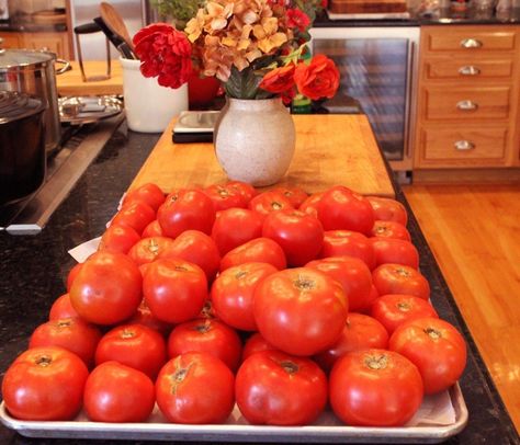 How to Use Your Tomato Harvest: Canning Beefsteak Tomatoes – Homemade Italian Cooking Beef Steak Tomatoes, Vegetables Salad Recipes, Steak Tomatoes, Canning Soups, Tomato Canning, Harvest Meals, Canning Tomatoes Recipes, Preserving Tomatoes, Tomato Harvest