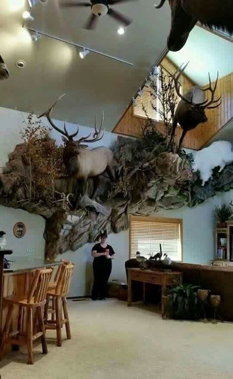 ♡ Trophy Room Ideas, Deer Mount Decor, Deer Mount Ideas, Deer Hunting Decor, Antler Ideas, Deer Antler Decor, Taxidermy Decor, Taxidermy Display, Animal Mounts