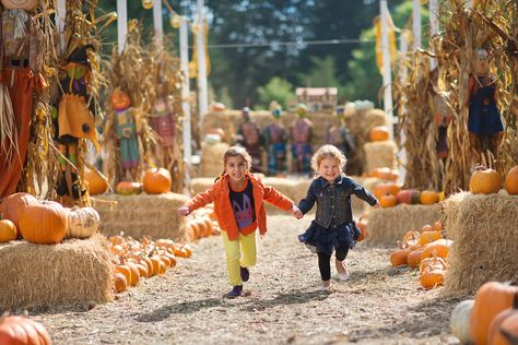 We know you love the Fall season just as much as we do. Celebrate Fall with our Colorado Fall, Pumpkin and Harvest Festivals 2018 guide! Pumpkin Patch Photography, Colorado Activities, Pumpkin Patch Corn Maze, Car Games For Kids, Kids Party Venues, Harvest Festivals, Colorado Fall, Corn Field, Fall Festivals