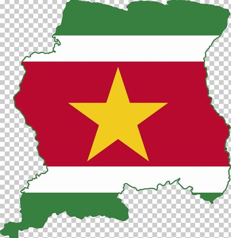 South America Flag, Suriname Flag, China Country, Flag Png, National Flag, Us Images, String Art, Chevrolet Logo, Color Trends