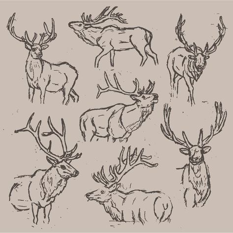 Buck Deer Tattoo, Elk Shed Tattoo, Dear Antlers Drawing, Elk Drawing Easy, Simple Hunting Tattoos, Buck Tattoo For Men, White Buffalo Tattoo, Drawings Of Deer, Elk Tattoos