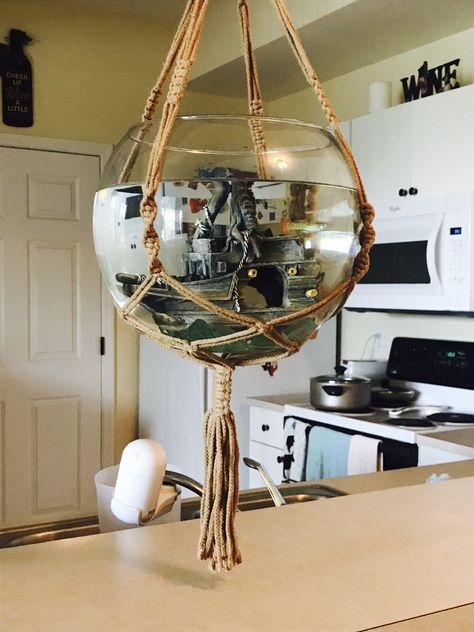 Macrame hanging fishbowl idea- get a 100lb toggle bolt, large glass bowl, & macrame hanger for ~$15 on Amazon. May eventually drop and shatter everywhere but I have faith!! It's holding! Large Glass Fish Bowls, Large Fish Bowl Decor Ideas, Glass Fish Bowl Ideas, Boho Fish Tank, Fish Bowl Decor Ideas, Fishbowl Ideas, Hanging Fish Bowl, Globes Decor, Unique Fish Bowls