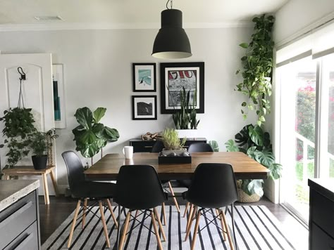 A California's Home's Black, White & (Leafy) Green Remodel — House Call Black White Rooms, Home Addition Plans, Green Apartment, White Apartment, Black And White Living Room, Black And White Decor, Green Home Decor, Living Room Green, White Rooms