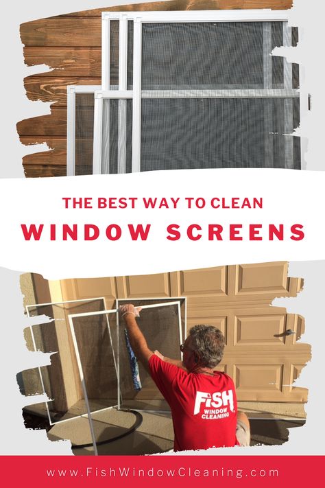 How to clean window screens: how often, the best way, special tools, etc. How To Wash Window Screens, How To Clean Screen Doors, Window Screen Cleaning, Best Way To Clean Outdoor Windows, Best Way To Clean Window Screens, Clean Screens Window, Cleaning Screens Window, How To Clean Screens, How To Clean Screens Window