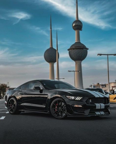 You'll never regret learning to be more calm and collected.#ford #mustang #gt350 #shelby Mustang Gt350 Shelby, Automotive Wallpaper, Gt350 Shelby, Mustang Gt350, Black Mustang, Mustang Wallpaper, Mustang Gt500, Shelby Gt, Never Regret