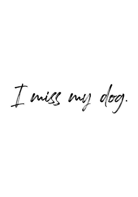 I Miss My Dog, Miss My Dog, Animal Tattoo Ideas, Pet Remembrance, Animal Tattoos, Pet Loss, Animal Quotes, Dog Quotes, Border Collie