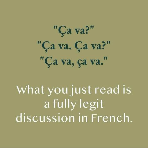 #language #french French Meme, Language French, French Quotes, Foreign Languages, Oui Oui, Learn French, Learning Languages, Cat Memes, Really Funny