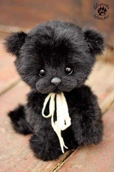 Black Stuffed Animal, Cute Teddy Bear Pics, Black Teddy Bear, Teddy Bear Images, Teddy Bear Pictures, Charlie Bears, Teddy Bear Collection, Bear Pictures, Tatty Teddy