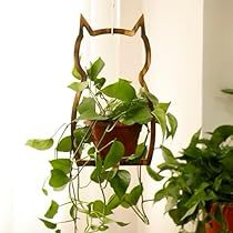 Entryway Plants Indoor, Wall Mount Plant Holder, Plant Bathroom Decor, Window Plant Hanger, Houseplant Accessories, Wall Plant Decor, Wooden Plant Hanger, Cat Decor Bedroom, Wooden Plant Stands Indoor