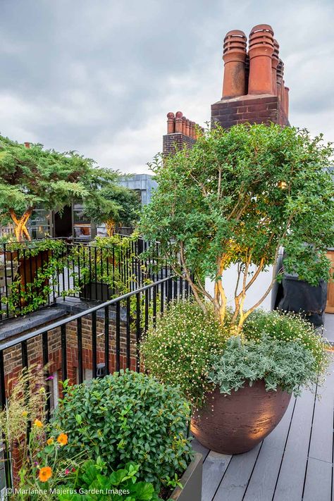 Kensington Roof Terrace / Maïtanne Hunt Gardens & Landscapes Rooftop Terrace Plants, London Terrace Garden, Roof Terrace Vegetable Garden, Astroturf Roof Terrace, Kensington Roof Gardens, Roof Terrace London, Roof Terrace Design, Terraced Landscaping, Minimalist Garden