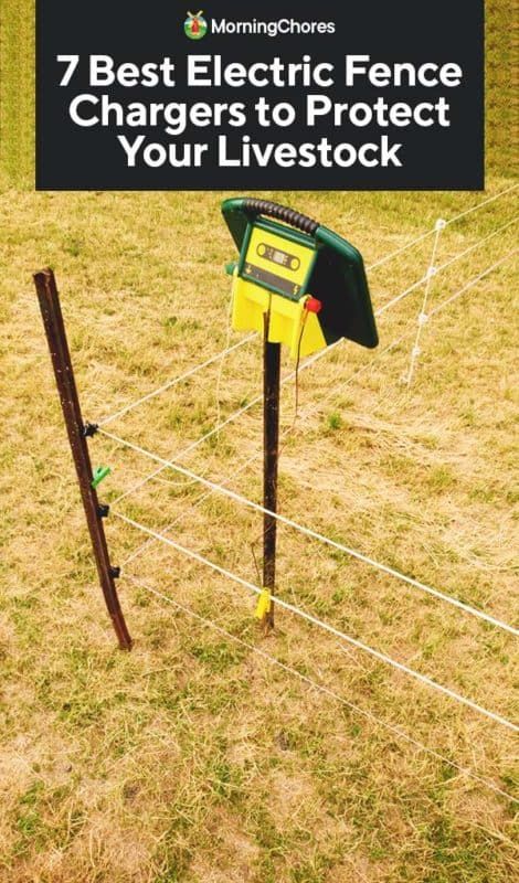 7 Best Electric Fence Chargers to Protect Your Livestock Goat Fencing, Box Elder Bugs, Solar Electric Fence, Dog Enclosures, Farm Fencing, Livestock Fence, Electric Fence Energizer, Cattle Grazing, Chicken Wire Fence