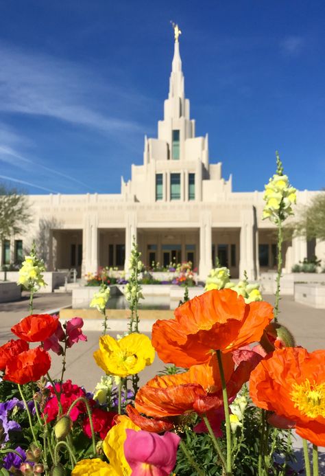 Phoenix Temple, Lds Pictures, Lds Church History, Church History, Lds Church, Lds Temples, Program Ideas, Walk By Faith, Latter Day Saints