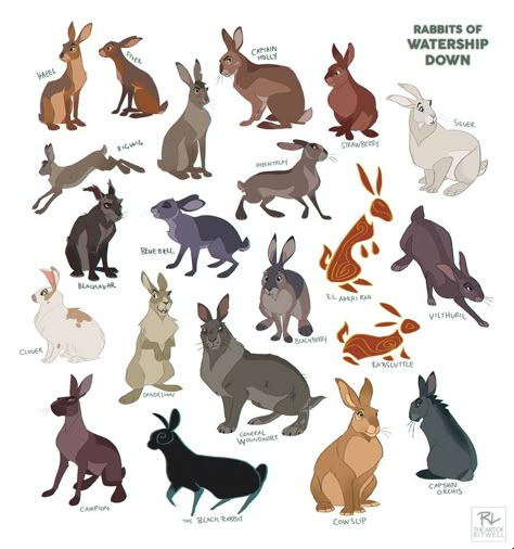 Rabbits of Watership Down #artwork #watershipdown Rabbit Anatomy, Bunny Drawings, Animals Drawing, Rabbit Drawing, White Guys, Watership Down, Bunny Drawing, Rabbit Art, Creature Concept Art