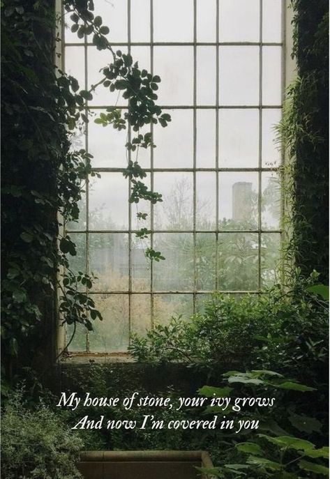 My house of stone, your ivy grows. And now I'm covered in you - evermore - taylor swift Ivy, Taylor Swift, Swift, Tumblr, Plants, Green