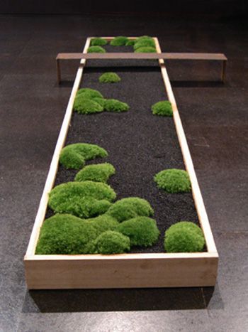 Simple, stunningly simple. Moss Planter, Plants Greenhouse, Kaktus Dan Sukulen, Bathroom Garden, Mini Zen Garden, Miniature Landscape, Zen Garden Design, Wavy Design, Moss Garden