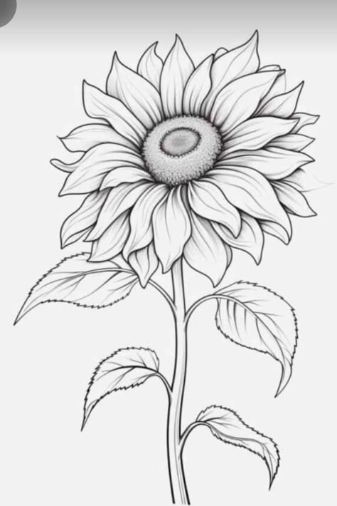 Sunflower Tattoo Design Drawings, Easy Sunflower Drawing, Sunflower Tattoo Stencil, Sunflower Outline, Sunflower Sketch, Sunflower Sketches, Tattoo Sunflower, Pencils Drawings, Travel Doodles