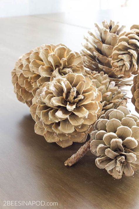 How to Bleach Pinecones - 2 Bees in a Pod Bleach Pinecones, Christmas Diy Sewing, Pine Cone Art, Diy Pinecone, Cone Trees, Boutique Ideas, Pine Cone Decorations, Pinecone Wreath, Cones Crafts