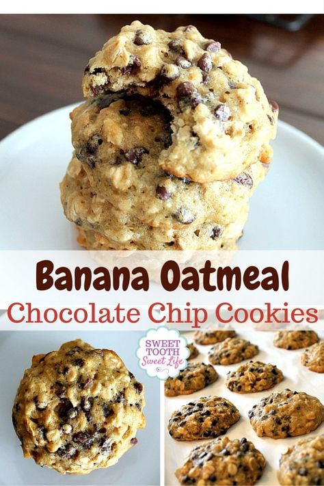 Banana Oatmeal Chocolate Chip Cookies - a healthier cookie/muffin that's perfect for when you need a little something for that sweet tooth! They're even great right out of the freezer, too, so make a big batch and store them for whenever you need! http://www.sweettoothsweetlife.com/2016/04/28/banana-oatmeal-chocolate-chip-cookies/ Banana Oatmeal Chocolate Chip Cookies, Banana Oatmeal Chocolate Chip, Banana Oatmeal Cookies, Banana Cookies, Oatmeal Chocolate Chip, Choc Chip Cookies, Oatmeal Chocolate, Banana Oatmeal, Oatmeal Chocolate Chip Cookies