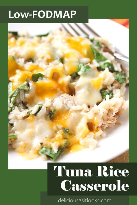 Low Fodmap Tuna Casserole, Low Fodmap Tuna, Homemade Condensed Cream Of Mushroom, Tuna Rice Casserole, Salmon Casserole, Low Carb Vegetable Soup, Condensed Cream Of Mushroom Soup, Fod Map, Chicken Soup Base