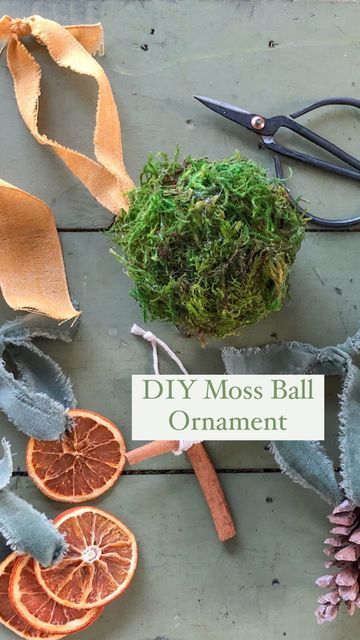 Moss Ornaments, Moss Crafts Diy, Moss Christmas Tree, Diy Moss Ball, Yule Crafts, Melted Plastic, Moss Balls, Cottage Christmas, Natural Christmas