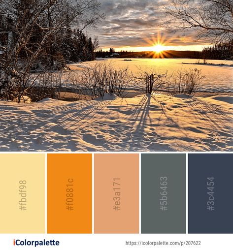 Color Palette ideas from 1137 Sunlight Images | iColorpalette Sun Set Color Palette, Sun Color Pallete, Winter Sunset Color Palette, Sun Palette, Sunrise Pallete Color, Ocean Sunrise Color Palette, Colour Coordination, Harmony Design, Sunrise Colors