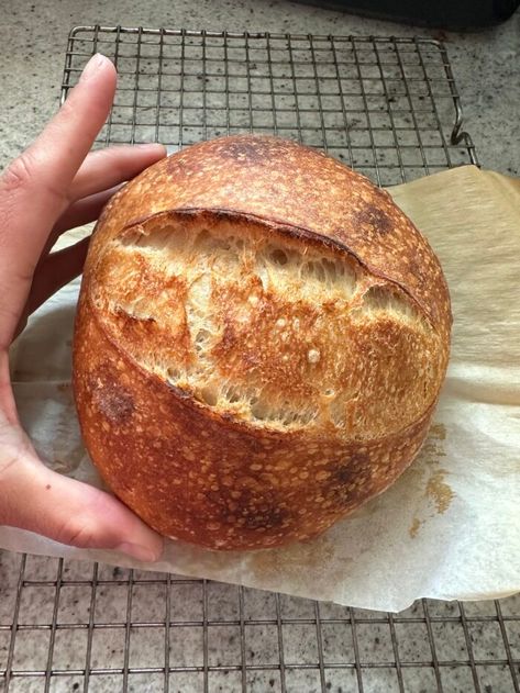 Sourdough Mini Loaf- Recipe - Crafty Gemini Sourdough Mini Loaf, Small Sourdough Loaves, Small Loaf Sourdough Bread, Small Sourdough Loaf Recipe, Mini Sourdough Loaves For Gifts, Small Sourdough Loaf, Sourdough In Loaf Pan, Sourdough Mini Loaves, Mini Sourdough Loaves