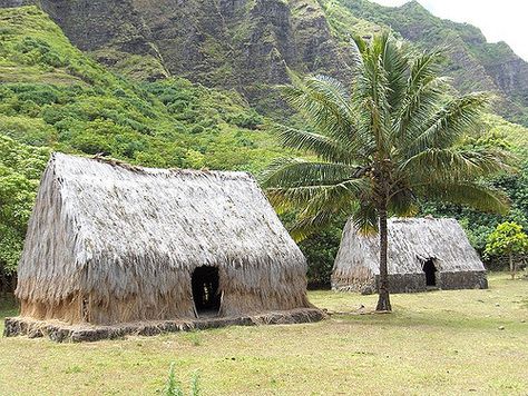 Ancient Polynesia, Hawaiian Architecture, Ancient Hawaii, Hawaiian House, Primitive Technology, Ancient Aliens, Tree Trunk, Photo Sharing, Hawaii