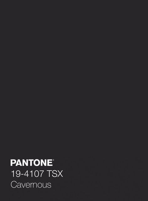 Charcoal Pantone, Black Pantone, Pantone Black Palette, Art Deco Moodboard, Ultimate Gray Pantone, Pantone Black, Pantone Tcx, Dark Grunge, Color Inspo