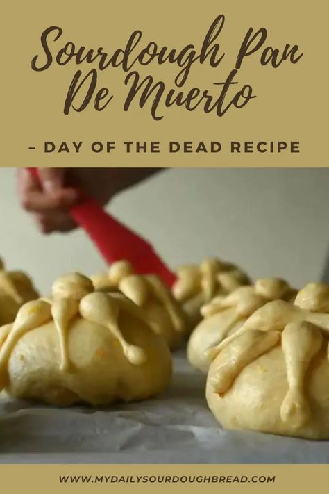 Sourdough Conchas Recipe, Mexican Sourdough Recipes, Dead Bread Recipe, Sourdough Basics, Sourdough Tips, Sourdough Ideas, Bread Of The Dead, Traditional Bread Recipe, Edible Ideas