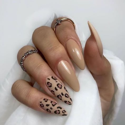 Cheetah Print Nails, Cheetah Nails, Leopard Print Nails, Leopard Nails, Animal Nails, Animal Print Nails, Oval Nails, Neutral Nails, Pretty Acrylic Nails