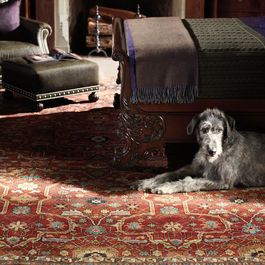 rug Ralph Lauren Home Living Room, Ralph Lauren Interiors, Rugs Direct, Carpet Ideas, Royal City, English Decor, Ralph Lauren Style, Ralph Lauren Kids, Rug Direct