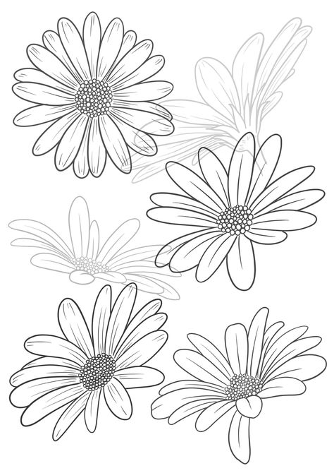 - 25 hand-drawn daisy stamps in a variety of styles, perfect for adding a touch of whimsy to your digital artwork. #procreate #procreatestamps #digitalart #dainty . #Daisy_Embroidery_Pattern_Template #How_To_Draw_Daisy_Flowers #Daisy_Drawing_Step_By_Step #Procreate_Stencils Daisy Embroidery Pattern Template, How To Draw Daisy Flowers, Procreate Stencils, Daisy Tattoo Stencil, Drawing Flowers Ideas, Daisy Drawings, Daisy Stencil, Daisy Sketch, Daisy Flower Art