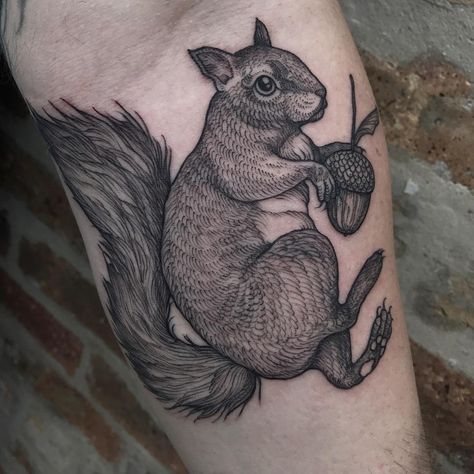 2,338 Likes, 18 Comments - Cloey (@inkbrambles) on Instagram: “Squirrel! Based on a painting I did a little over a year ago. Thank you, Mark! @blackoaktattoo #222…” Squirrel Tattoo, Wildlife Tattoo, Hard Tattoos, Artsy Tattoos, Forest Dress, Squirrel Pictures, Animal Dress Up, Mouse Tattoos, Manchester United Kingdom