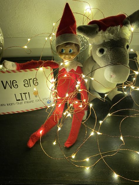 Elf On The Shelf Wrapped In Lights, Elf On The Shelf With Lights, Elf Wrapped In Lights, Elf On The Shelf Christmas Lights, Elf Shenanigans, Elf On Shelf, Awesome Elf On The Shelf Ideas, Elf Fun, Elf Ideas