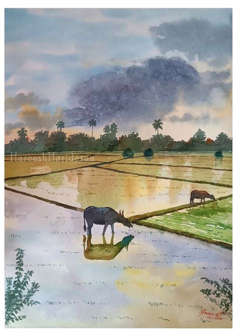 #watercolorpainting #cow #kerala #nature #sunset #naturelove Colour Painting, Watercolor Landscape Paintings, Pencil Art Drawings, Water Painting, Watercolor Bird, Water Colour, Watercolor Landscape, Pencil Art, Paint Designs