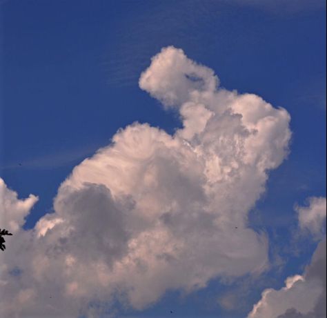 Bunny cloud.  2016 Fluffy Clouds Aesthetic, Cloud Core Aesthetic, Bunny Cloud, Clouds And Trees Aesthetic, Dublin Fashion, White Fluffy Bunny Aesthetic, Rabbit Wallpaper, Blue Bunny, Cloud Shapes